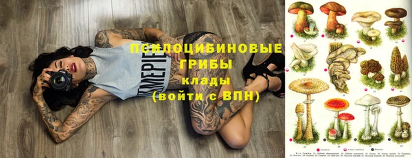 гашик Беломорск